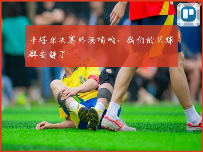 卡塔尔决赛终场哨响，我们的买球群安静了