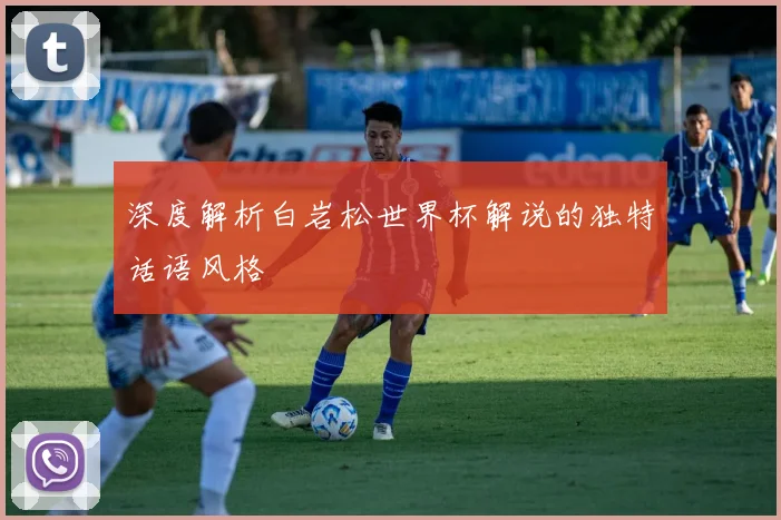 深度解析白岩松世界杯解说的独特话语风格