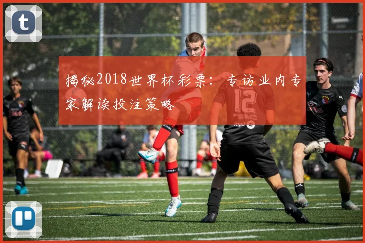 揭秘2018世界杯彩票：专访业内专家解读投注策略