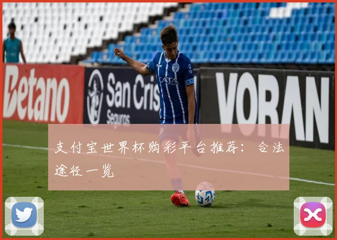 支付宝世界杯购彩平台推荐：合法途径一览