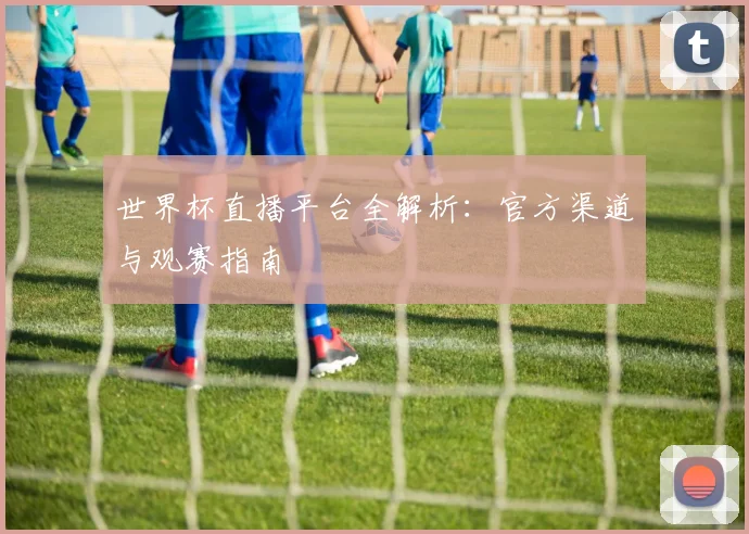 世界杯直播平台全解析：官方渠道与观赛指南