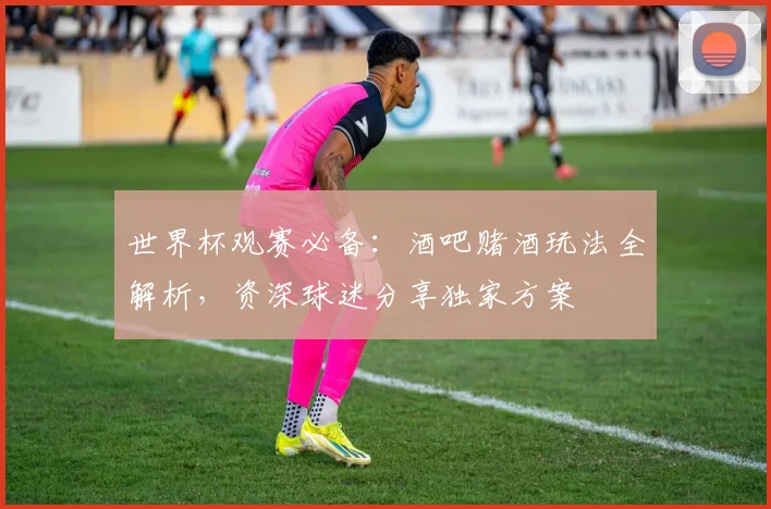世界杯观赛必备：酒吧赌酒玩法全解析，资深球迷分享独家方案