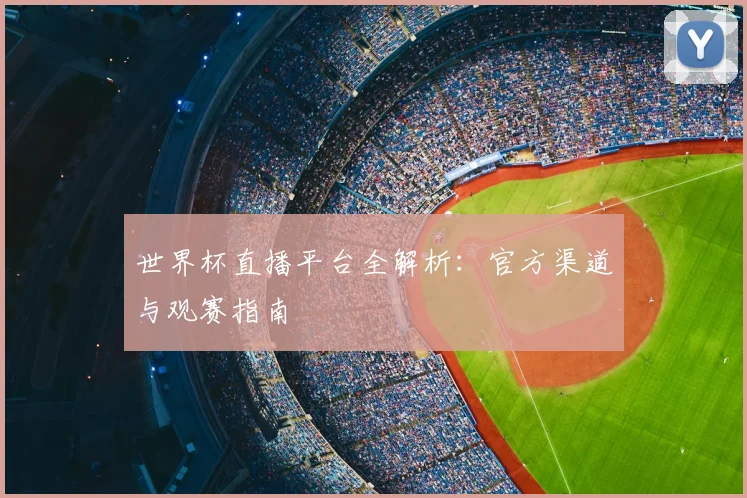 世界杯直播平台全解析:官方渠道与观赛指南