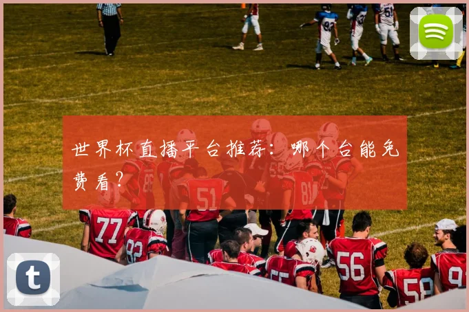 世界杯直播平台推荐：哪个台能免费看？