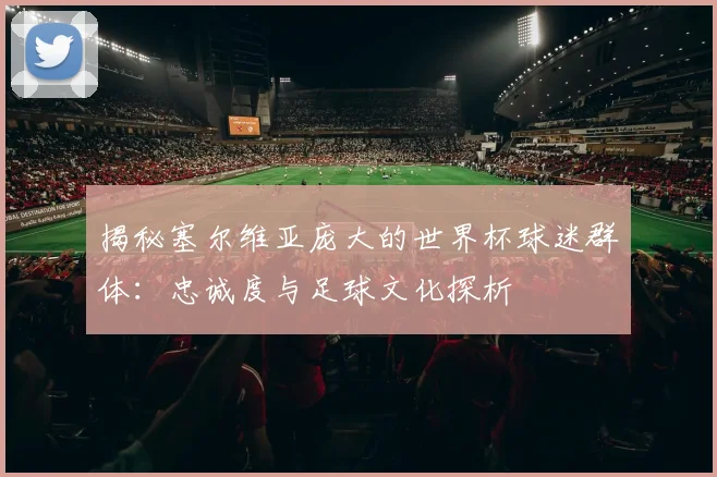 揭秘塞尔维亚庞大的世界杯球迷群体：忠诚度与足球文化探析